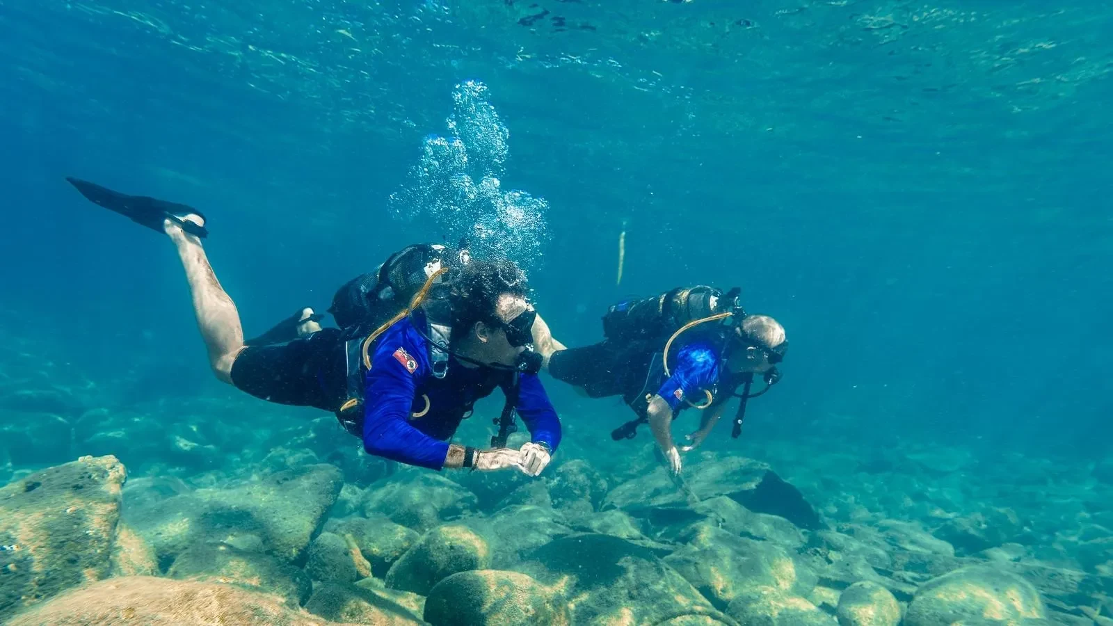 Explore beneath the surface